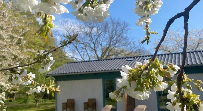 Tiny Guesthouse - Image 1