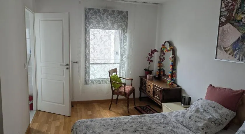 Beautiful flat around Geneva & its airport Palexpo - Image 1