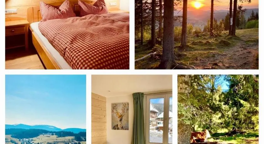 Appartamento 'Gästehaus Steiert Kuhbergblick' con vista sulle montagne, giardino in comune e Wi-Fi - Image 1