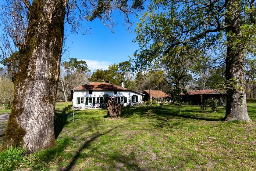 Lovely gîte for 2 in the forest beside the lake - Image 1
