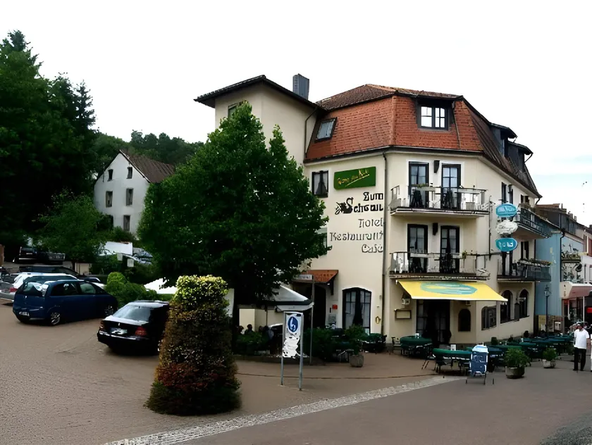 Hotel Zum Schwan - Image 1