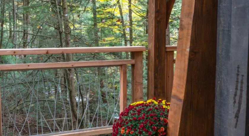 Enchanted Evergreen - Image 1