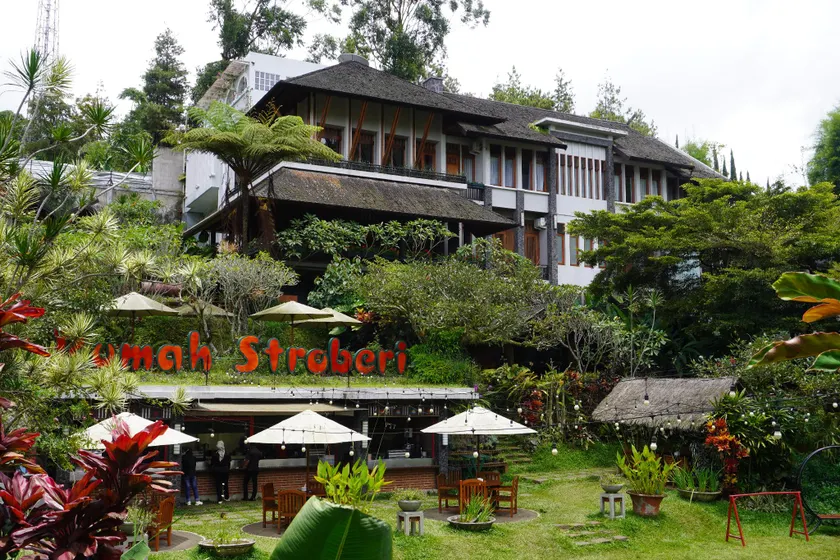 Rumah Stroberi Organic Farm & Family Lodge - Image 1