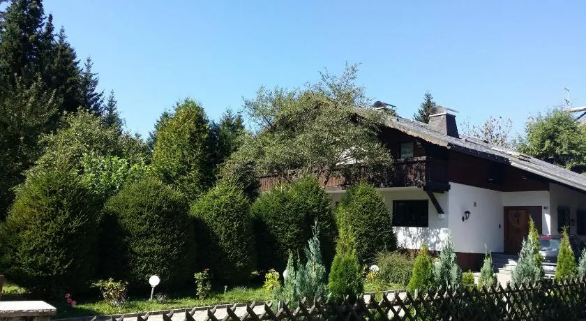Schwarzwald - Villa Appartments Titisee - Image 1