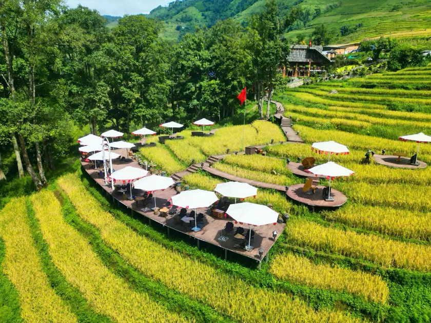 MT House Sa Pa - Mountain & Terraced fields View And Trekking Tour - Image 1