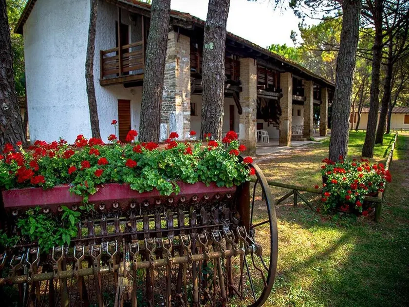 Grado Apartment in Belvedere Resort - Image 1