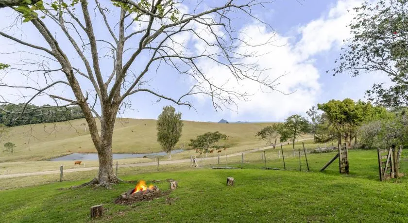 Anderlaine at Maleny - Image 1