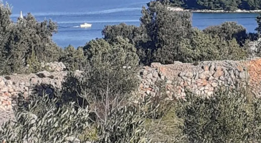 Villa Palfi - Image 1