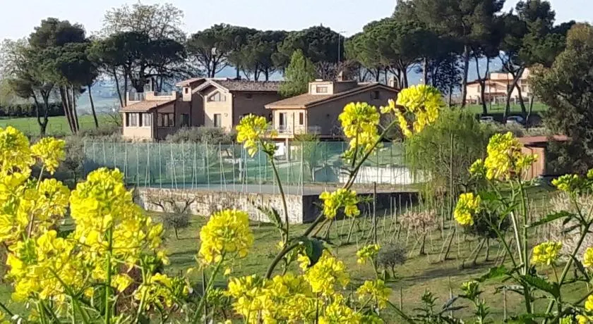 LA CASA NELLA PRATERIA - Image 1