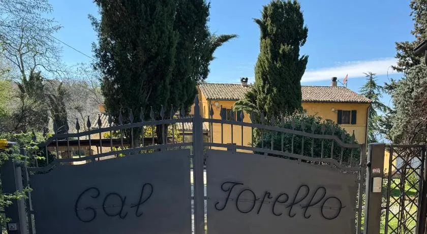 B&B Cal Torello - Image 1