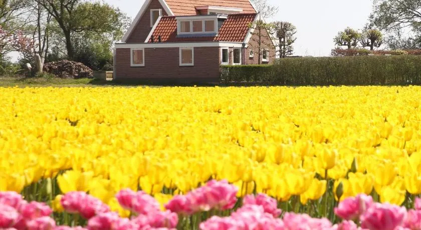 Bungalow Callantsoog - Image 1