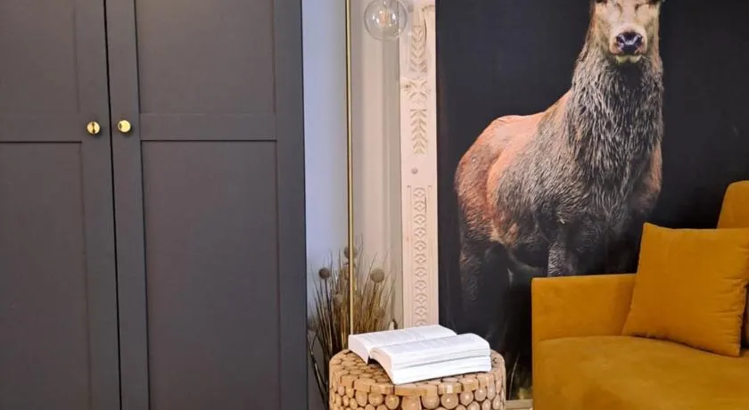 Apartamenty U Paliderki - Image 1
