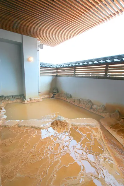 Matsushiro Guest House Hoteiya - Image 1