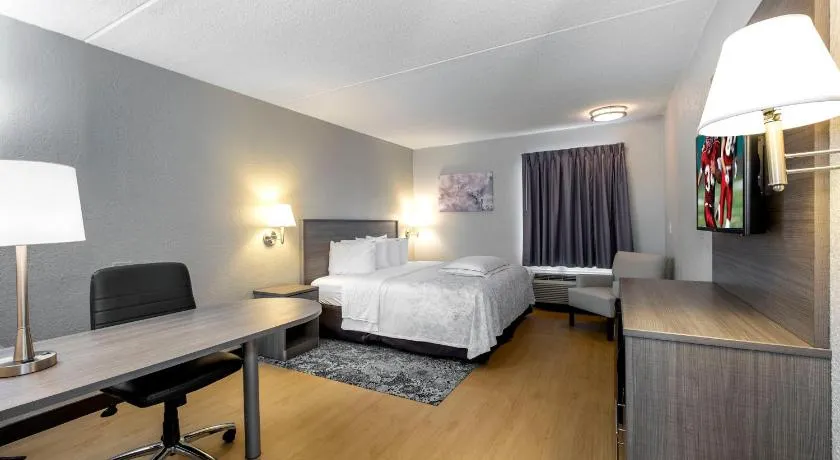 Red Roof Inn PLUS Boston - Mansfield - Foxboro - Image 1