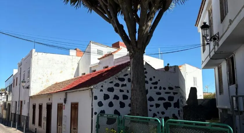Casa del Drago – Ihr Zuhause in den Höhen von Gran Canaria - Image 1