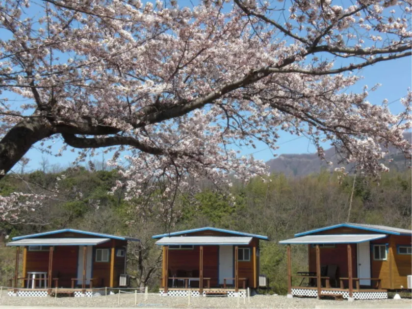 Sea-view Cottage & Camp - Image 1