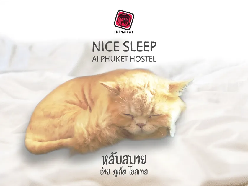 Ai Phuket Hostel - Image 1