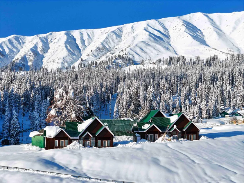 Gulmarg Woods By Stay Pattern - Image 1