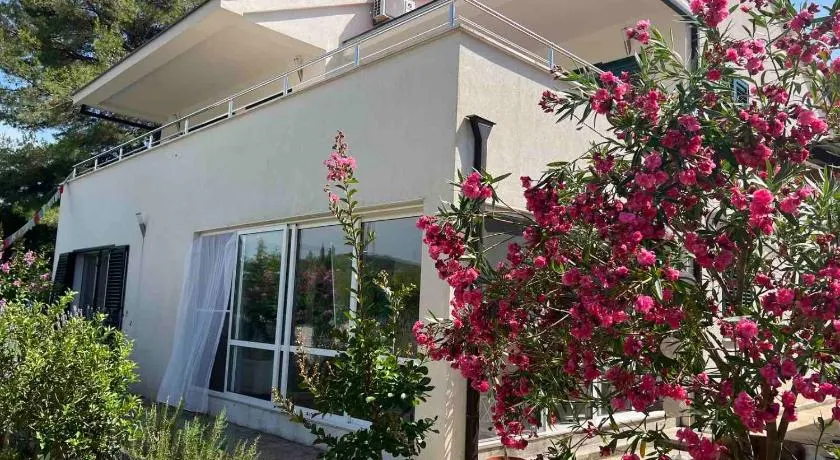 Koko's home - Image 1