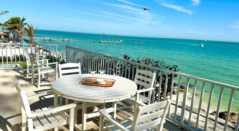 Dolphin Watch home - Image 1