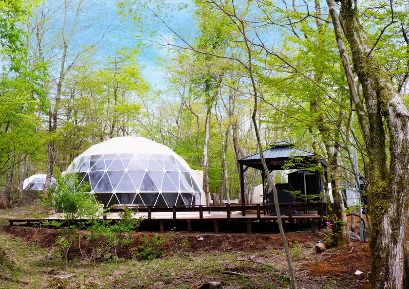 MOSS JURIGI CAMP RESORT - Image 1