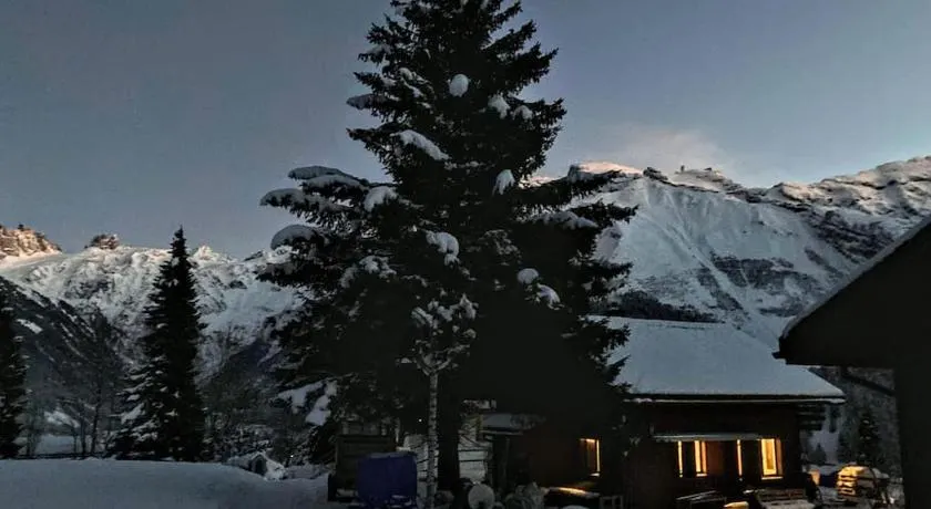 Cosy Chalet 87 in Engelberg with spectacular mountain and lake Views - Image 1