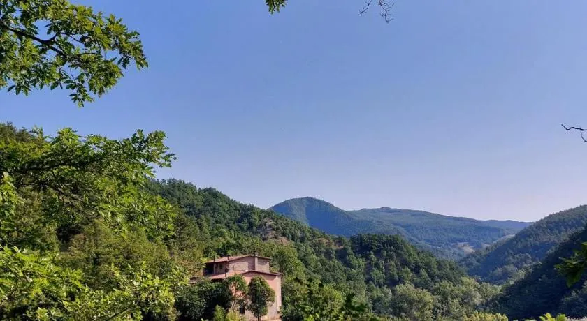 Vegan bed and breakfast Colle della luna - Image 1
