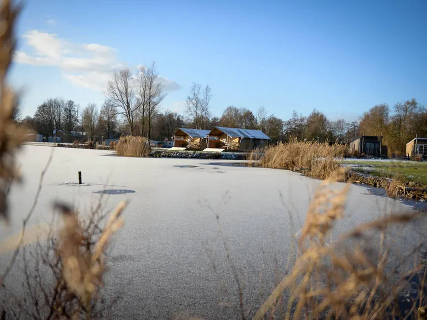 Detached bungalow with a dishwasher at 21 km from Leeuwarden - Image 1