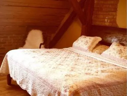 Dvůr Olšiny -Hotel and Horse-riding - Image 1