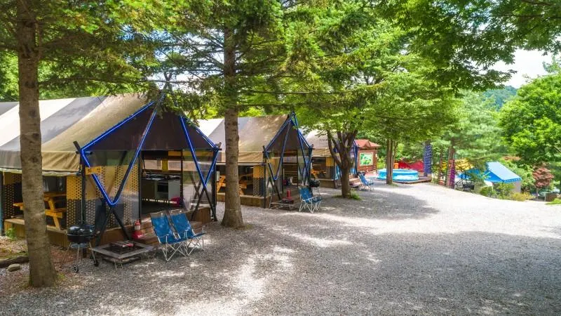 Gapyeong Shooting Star Glamping & Caravan - Image 1