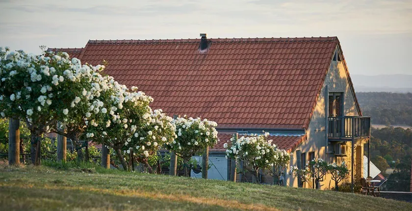 Wandin Valley Estate - Image 1