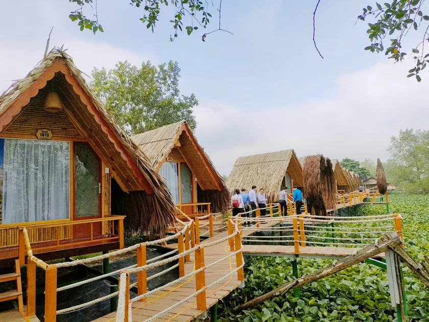 Coco Island Cồn Phụng - Image 1