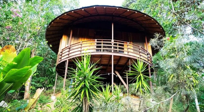 Junglebungalow - Image 1