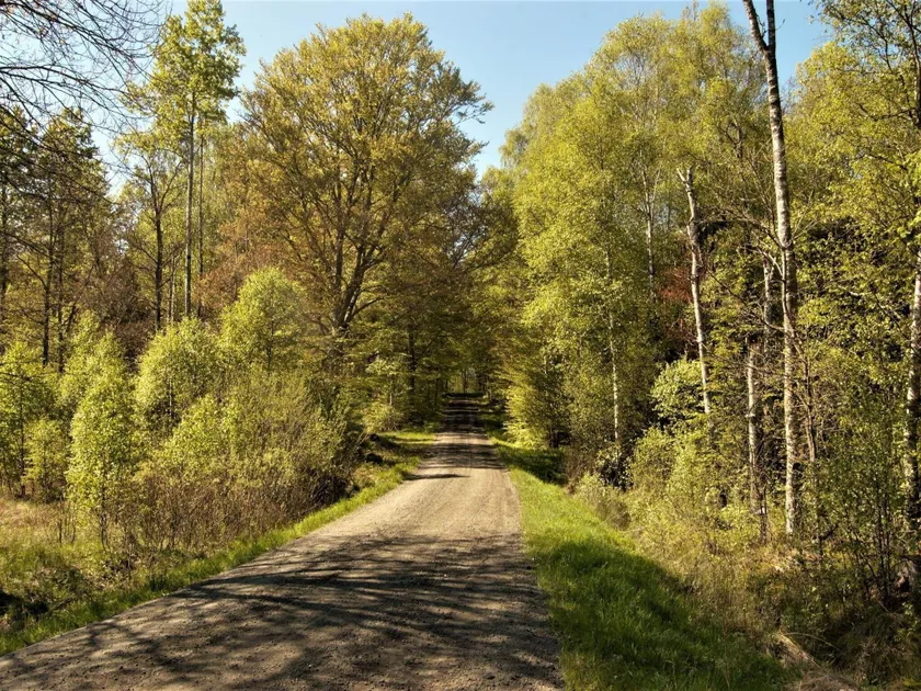 person holiday home in HOVMANTORP - Image 1