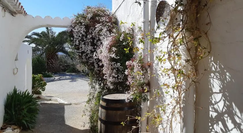 Casita Tomate - Image 1