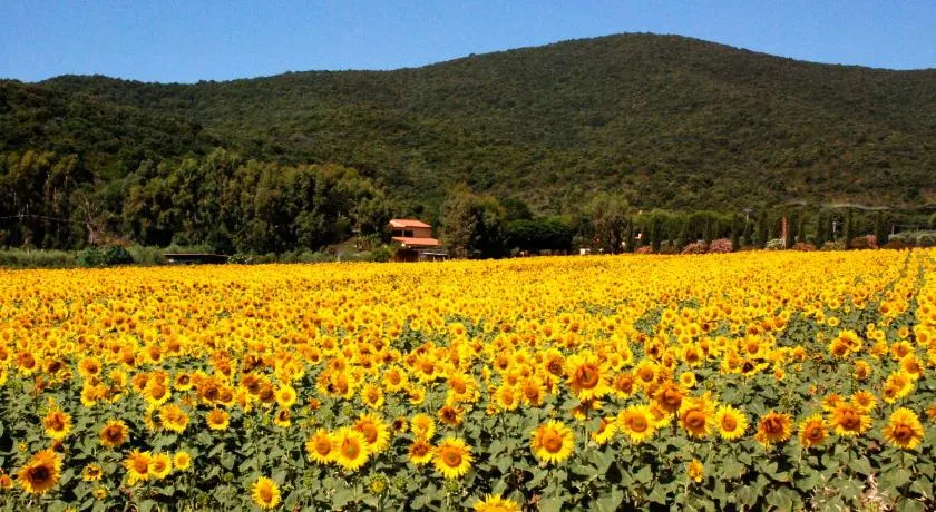 Podere Valborgina - Image 1