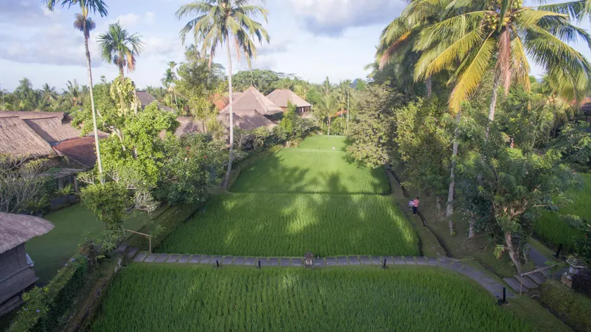 Ananda Ubud Resort - Image 1