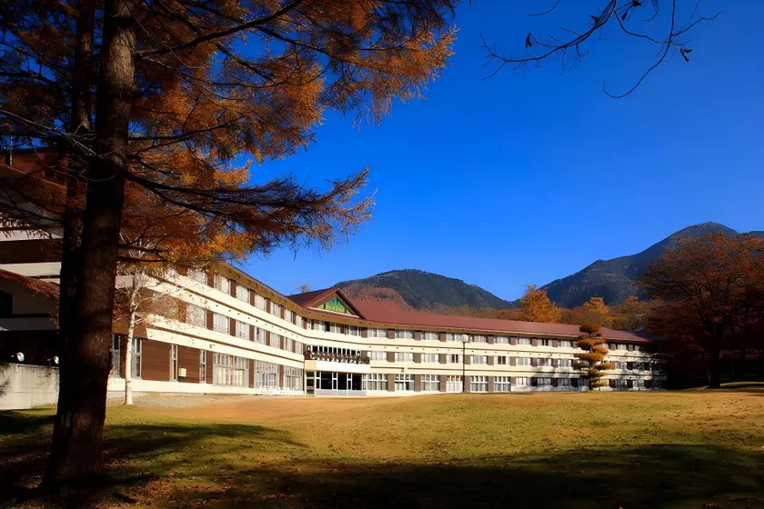 Nikko Astraea Hotel - Image 1