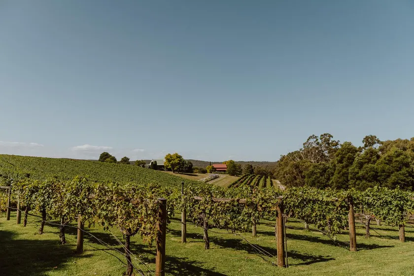Carrajung Estate - Image 1