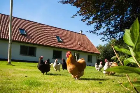Oplev Bed&Breakfast - Image 1