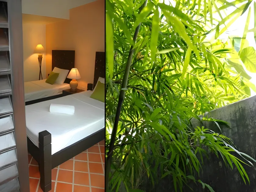 PapaCrab Boutique Guesthouse - Image 1
