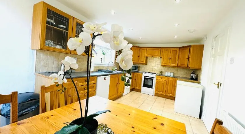Tillicoultry Jupiter Apartment - Scotland Holiday Let - Image 1