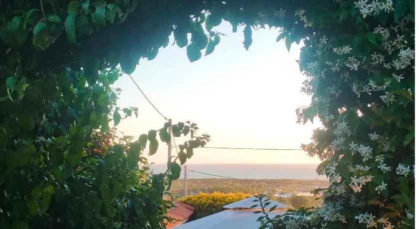 Amorevole villa con terrazza e doccia esterna - Image 1