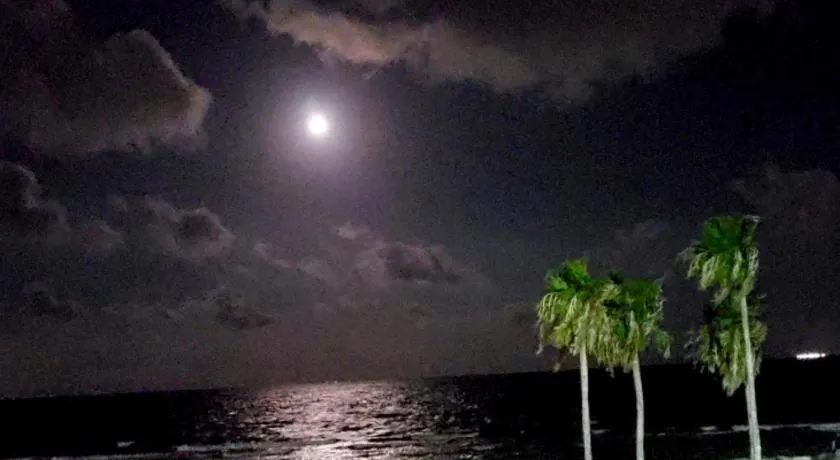 Spectacular Beach View! - Image 1