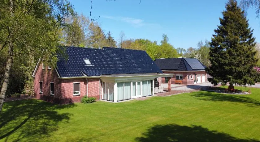 B&B Bosstee - Image 1
