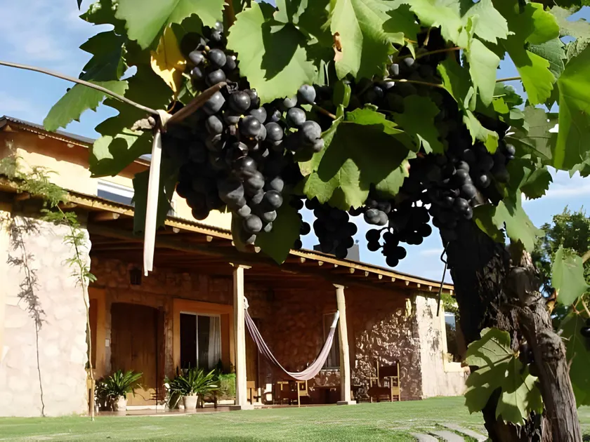  Finca Adalgisa Wine Hotel - Image 1