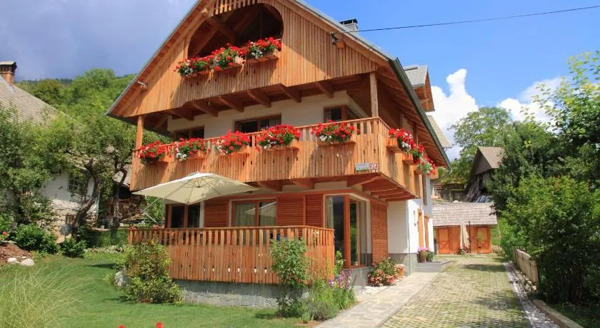 Apartments Vila Jelka - Image 1