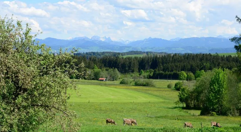Kuh Heimat - Bergblick - Terrasse - Image 1
