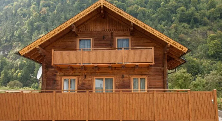 Chalet an der Traun - Image 1