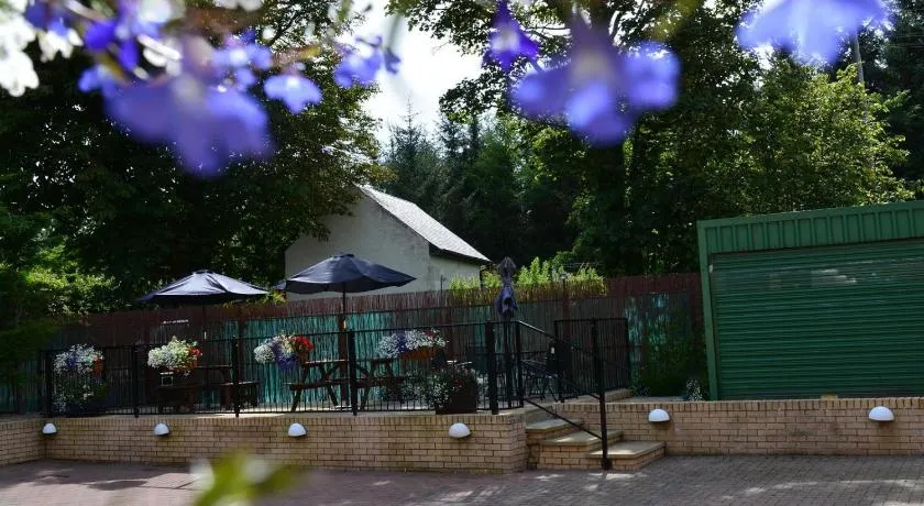 The Dwelling Place - Image 1